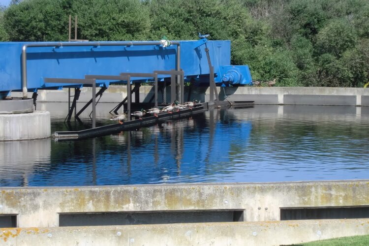 Ir a la noticia Las aguas subterráneas, la clave invisible frente al cambio climático