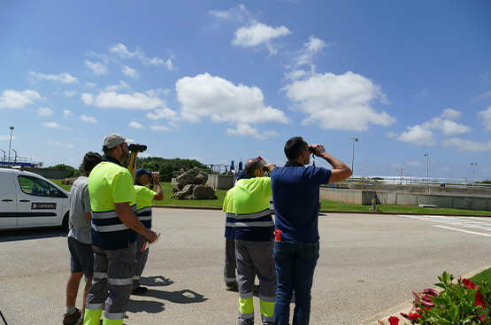 Homes d'esquenes mirant lluny