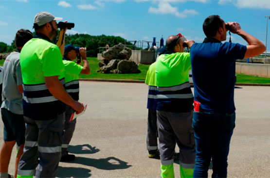 Ir a la noticia Llancem el programa ambiental de voluntariat BiObserva